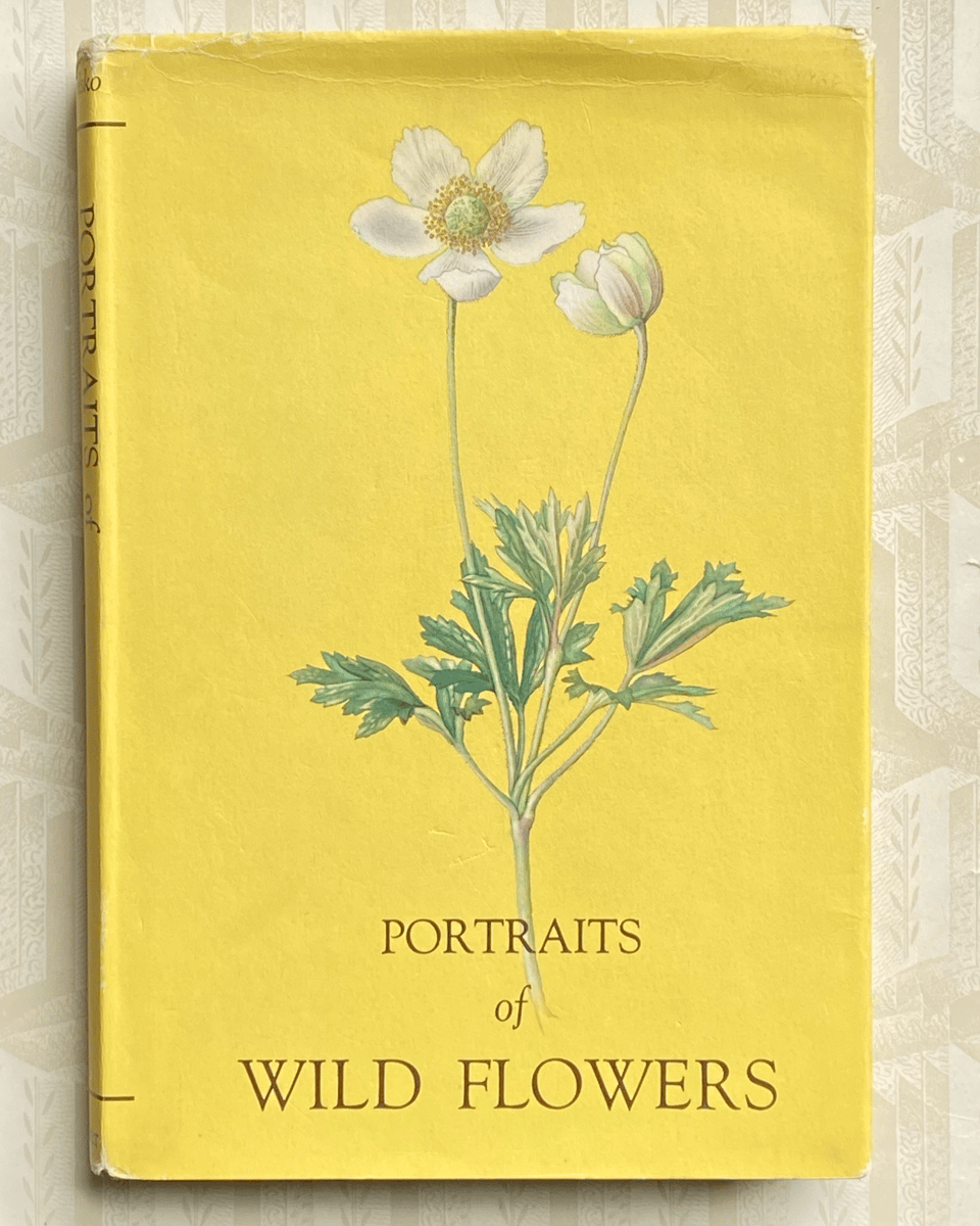 Portraits of Wild Flowers illustrations by Elsa Felsko | Two